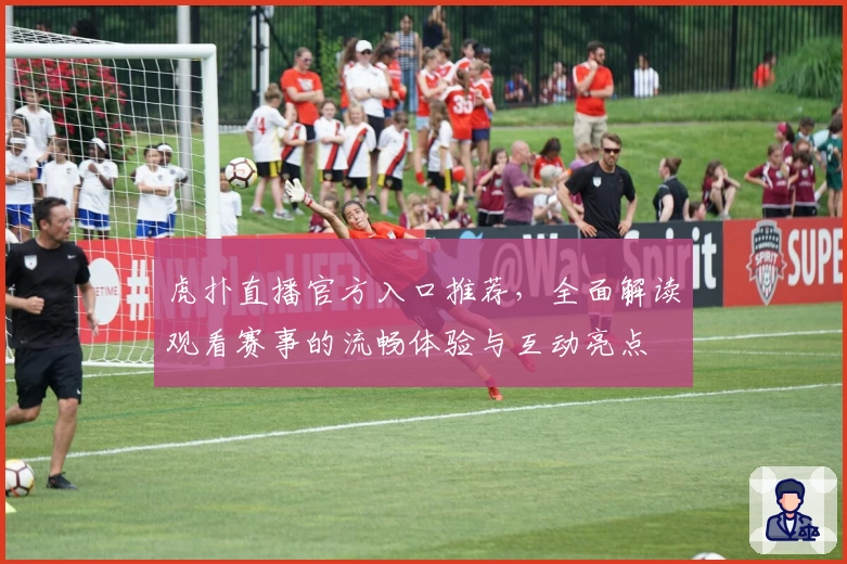 虎扑直播官方入口推荐，全面解读观看赛事的流畅体验与互动亮点