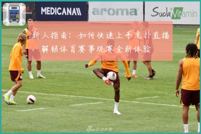 新人指南：如何快速上手虎扑直播，解锁体育赛事观赛全新体验